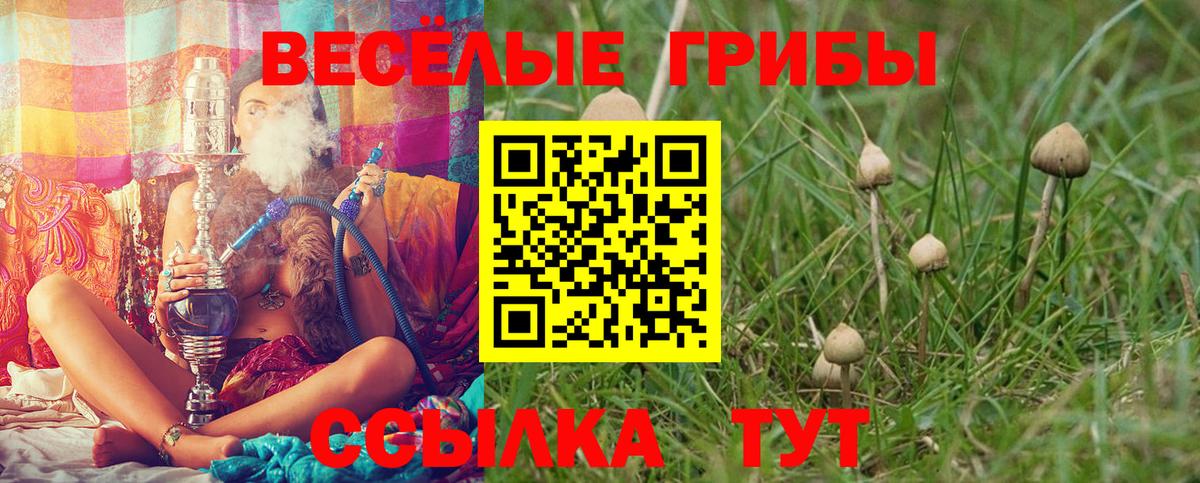 Галлюциногенные грибы мухоморы  Вход с VPN  Реж 